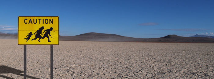 Playazon Coyote Services